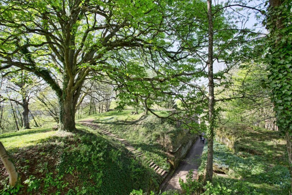 Maison Privilege Nature A La Petite Pierre Εξωτερικό φωτογραφία