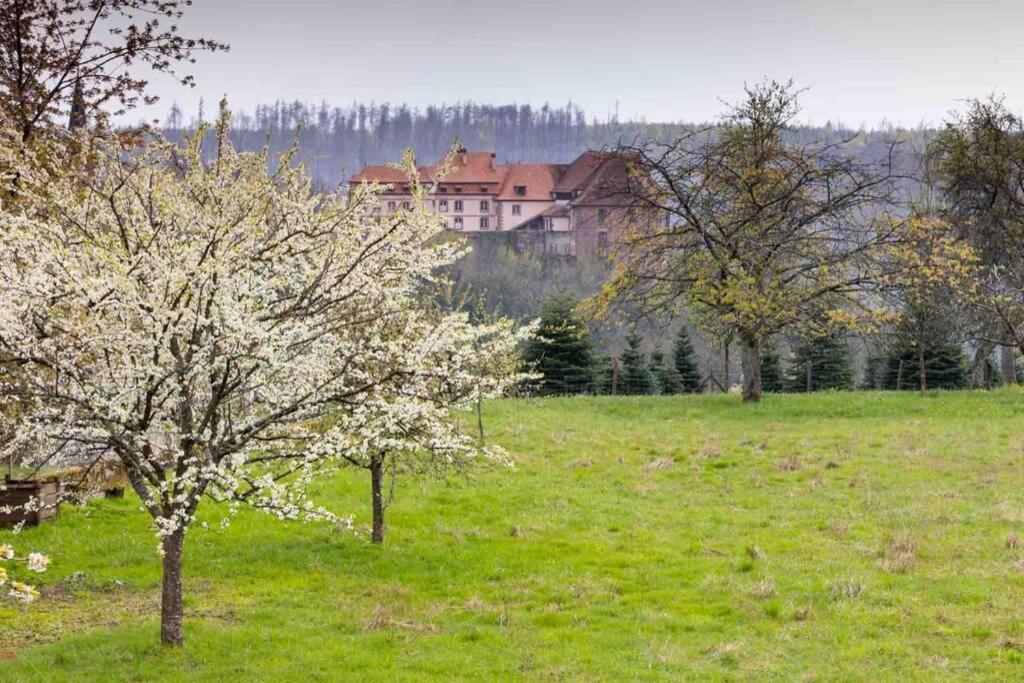 Maison Privilege Nature A La Petite Pierre Εξωτερικό φωτογραφία
